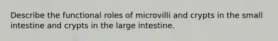 Describe the functional roles of microvilli and crypts in the small intestine and crypts in the large intestine.