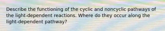 Describe the functioning of the cyclic and noncyclic pathways of the light-dependent reactions. Where do they occur along the light-dependent pathway?