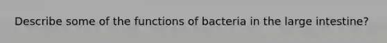 Describe some of the functions of bacteria in the large intestine?