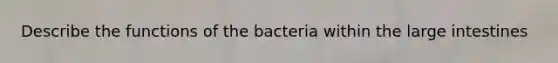 Describe the functions of the bacteria within the large intestines