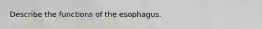 Describe the functions of the esophagus.