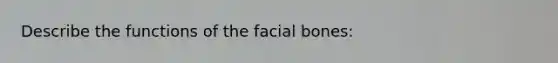 Describe the functions of the facial bones: