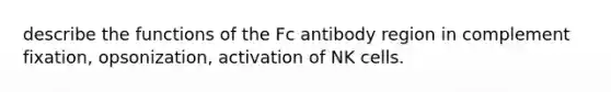 describe the functions of the Fc antibody region in complement fixation, opsonization, activation of NK cells.