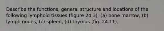 Describe the functions, general structure and locations of the following lymphoid tissues (figure 24.3): (a) bone marrow, (b) lymph nodes, (c) spleen, (d) thymus (fig. 24.11).