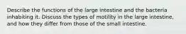 Describe the functions of the large intestine and the bacteria inhabiting it. Discuss the types of motility in the large intestine, and how they differ from those of the small intestine.