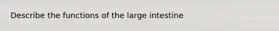 Describe the functions of the large intestine