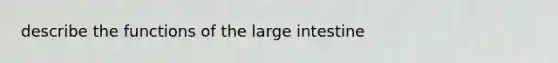 describe the functions of the large intestine