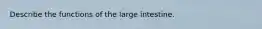 Describe the functions of the large intestine.