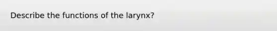 Describe the functions of the larynx?