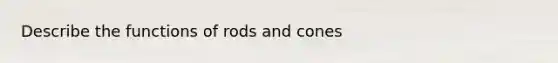 Describe the functions of rods and cones