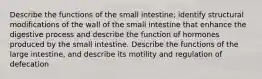 Describe the functions of the small intestine; identify structural modifications of the wall of the small intestine that enhance the digestive process and describe the function of hormones produced by the small intestine. Describe the functions of the large intestine, and describe its motility and regulation of defecation