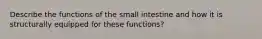 Describe the functions of the small intestine and how it is structurally equipped for these functions?