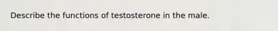 Describe the functions of testosterone in the male.