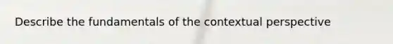 Describe the fundamentals of the contextual perspective