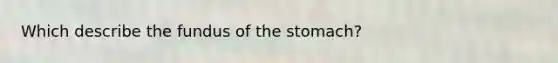 Which describe the fundus of the stomach?