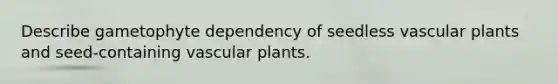 Describe gametophyte dependency of seedless vascular plants and seed-containing vascular plants.