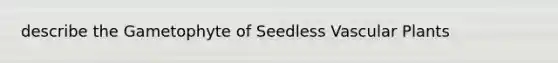 describe the Gametophyte of Seedless Vascular Plants