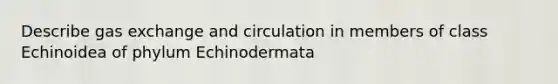 Describe gas exchange and circulation in members of class Echinoidea of phylum Echinodermata