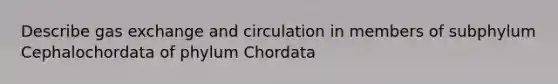 Describe gas exchange and circulation in members of subphylum Cephalochordata of phylum Chordata