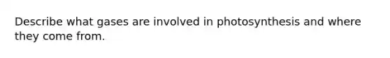 Describe what gases are involved in photosynthesis and where they come from.