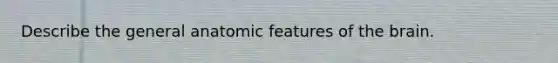 Describe the general anatomic features of the brain.