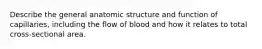 Describe the general anatomic structure and function of capillaries, including the flow of blood and how it relates to total cross-sectional area.