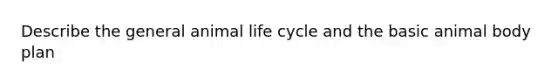 Describe the general animal life cycle and the basic animal body plan