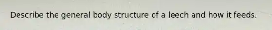 Describe the general body structure of a leech and how it feeds.