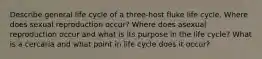 Describe general life cycle of a three-host fluke life cycle. Where does sexual reproduction occur? Where does asexual reproduction occur and what is its purpose in the life cycle? What is a cercaria and what point in life cycle does it occur?