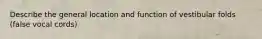 Describe the general location and function of vestibular folds (false vocal cords)