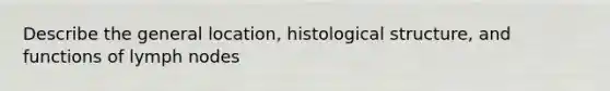 Describe the general location, histological structure, and functions of lymph nodes