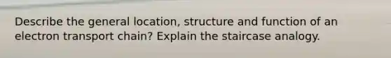 Describe the general location, structure and function of an electron transport chain? Explain the staircase analogy.