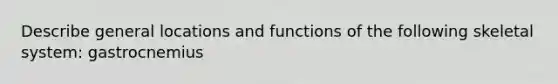 Describe general locations and functions of the following skeletal system: gastrocnemius