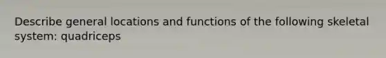 Describe general locations and functions of the following skeletal system: quadriceps