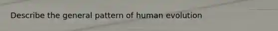 Describe the general pattern of human evolution