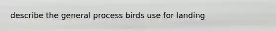 describe the general process birds use for landing