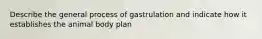 Describe the general process of gastrulation and indicate how it establishes the animal body plan