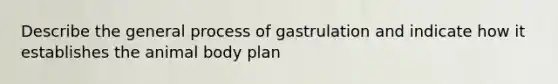 Describe the general process of gastrulation and indicate how it establishes the animal body plan