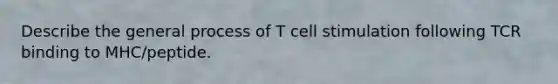 Describe the general process of T cell stimulation following TCR binding to MHC/peptide.