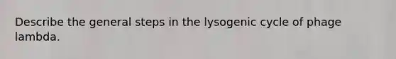 Describe the general steps in the lysogenic cycle of phage lambda.