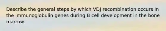 Describe the general steps by which VDJ recombination occurs in the immunoglobulin genes during B cell development in the bone marrow.