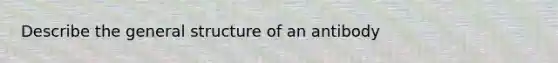 Describe the general structure of an antibody