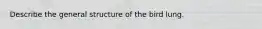 Describe the general structure of the bird lung.