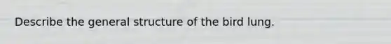 Describe the general structure of the bird lung.