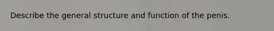 Describe the general structure and function of the penis.