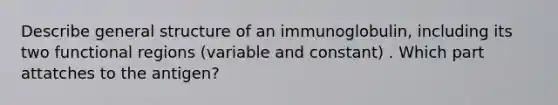 Describe general structure of an immunoglobulin, including its two functional regions (variable and constant) . Which part attatches to the antigen?