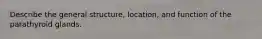 Describe the general structure, location, and function of the parathyroid glands.