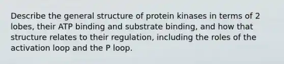 Describe the general structure of protein kinases in terms of 2 lobes, their ATP binding and substrate binding, and how that structure relates to their regulation, including the roles of the activation loop and the P loop.