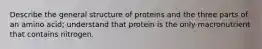 Describe the general structure of proteins and the three parts of an amino acid; understand that protein is the only macronutrient that contains nitrogen.