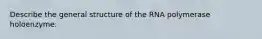 Describe the general structure of the RNA polymerase holoenzyme.